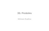 3S: Proteins