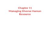 Chapter 11 Managing Diverse Human Resource