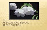Asexual and sexual reproduction