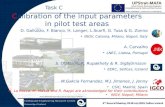 C alibration  of the input  parameters  in  pilot  test  areas