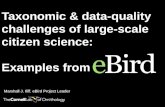 Taxonomic & data-quality challenges of large-scale citizen science: Examples from
