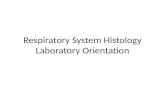Respiratory System Histology Laboratory Orientation