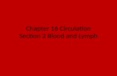Chapter 16 Circulation Section 2 Blood and Lymph