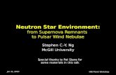 Neutron Star Environment: from Supernova Remnants  to Pulsar Wind Nebulae