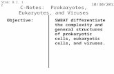 C-Notes:  Prokaryotes, Eukaryotes,  and Viruses