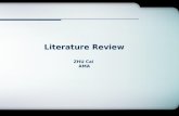Literature Review ZHU  Cai AMA