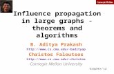 Influence propagation in large graphs - theorems and algorithms
