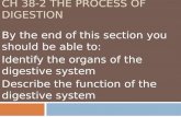Ch 38-2 The Process of Digestion