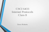 CSCI 6433 Internet Protocols Class  8