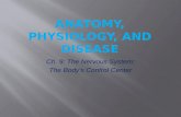 Anatomy, physiology, and Disease