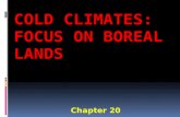Cold climates: Focus on Boreal lands