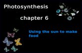 Photosynthesis  chapter 6