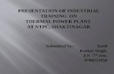 PRESENTATION OF INDUSTRIAL TRAINING  ON THERMAL POWER PLANT  AT NTPC, SHAKTINAGAR