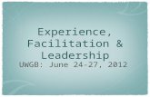 Experience, Facilitation & Leadership