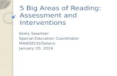 5 Big Areas of Reading:  Assessment and  Interventions