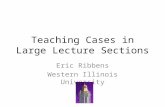 Teaching Cases in Large Lecture Sections