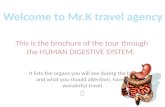 This is the brochure of the tour through the HUMAN DIGESTIVE SYSTEM.