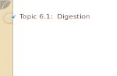 Topic 6.1:  Digestion