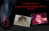 LASSA Fever Lassa hemorrhagic fever (LHF)