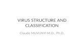 VIRUS STRUCTURE AND CLASSIFICATION