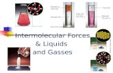 Intermolecular Forces & Liquids  and Gasses