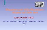 Yasser Orief  M.D. Lecturer of Obstetrics & Gynecology, Alexandria  University, Egypt