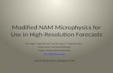 Modified NAM  Microphysics  for Use in High-Resolution Forecasts
