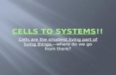 Cells to Systems !!