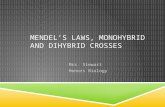Mendel’s Laws, Monohybrid and  dihybrid  crosses
