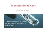 Biochemistry to Cells