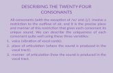 DESCRIBING THE TWENTY-FOUR CONSONANTS