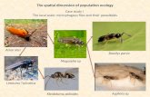 The spatial dimension of population ecology