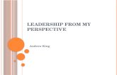 Leadership from my perspective
