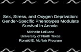 Sex, Stress, and Oxygen Deprivation:  Gender-Specific  Phenotypes Modulate Survival in Anoxia 