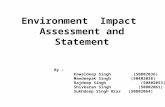 Environment  Impact  Assessment and Statement