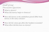 Slavery in the Antebellum South  1820 - 1860