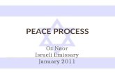 Peace process