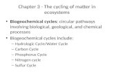 The cycling of matter in ecosystems
