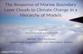 The Response of Marine Boundary Layer Clouds to Climate Change in a Hierarchy of Models