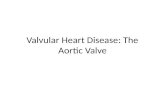 Valvular Heart Disease: The Aortic Valve