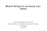 Burst firing in sensory systems