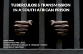 TUBERCULOSIS TRANSMISSION  IN A SOUTH AFRICAN PRISON