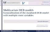 Multivariate DEB models Generalization  of the standard DEB model  with  multiple state  variables
