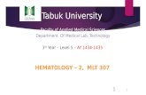 Tabuk  University