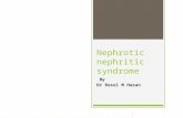 Nephrotic  nephritic syndrome