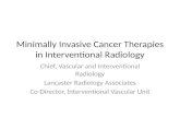 Minimally Invasive Cancer Therapies in Interventional Radiology