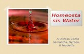 Homeostasis Water