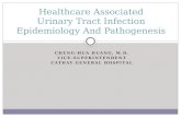 Healthcare Associated Urinary Tract Infection Epidemiology And Pathogenesis