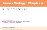 Honors  Biology: Chapter 4