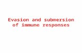 Evasion and submersion of immune responses